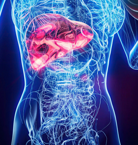 Программы лояльности и сезонные акции
